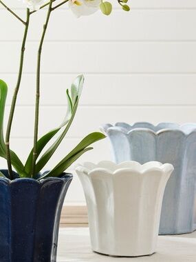 Pottery Barn | Accents | Pottery Barn Fluted Tulip Cachepot Planter Pot ...